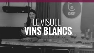 Le visuel vins blancs [upl. by Adiene]