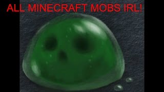 All Minecraft Mobs in Real Life [upl. by Berke87]