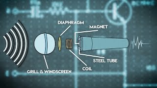 A Quick Guide to Microphones [upl. by Christoforo]