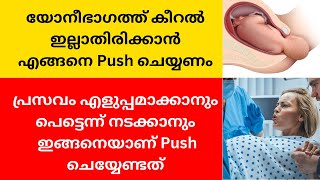 മിനിറ്റുകൾക്കുള്ളിൽ പ്രസവിക്കാൻ ഇങ്ങനെയാണ് Push ചെയ്യേണ്ടത്💯പ്രസവിക്കുന്നതിനു മുന്നേ കണ്ടിരിക്കണം [upl. by Anwadal390]