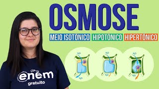 OSMOSE meio isotônico hipotônico e hipertônico  Resumo de Biologia para o Enem [upl. by Esli192]