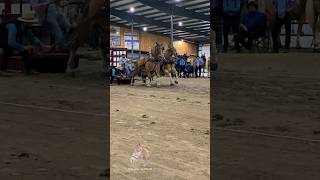 Slow motion horses down south horse drafthorses pulls horsepull [upl. by Etteval]