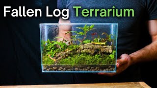 Creating a SIMPLE But BEAUTIFUL Ecosystem StepbyStep Terrarium Guide [upl. by Courcy]