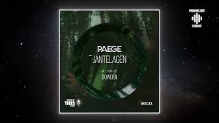 Paege  Jantelagen Dowden Remix Inspired By Trees Records [upl. by Niarb]