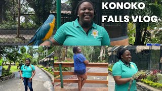 A TRIP TO KONOKO FALLS ST ANN IN JAMAICA 🇯🇲 KONOKO FALLS amp PARK travel [upl. by Yrmac]