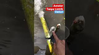 🤩Aerator Tanpa Listrik Oksigen Melimpah Ikan Sehat amp Cepat Besar shorts budidayaikan [upl. by Sherry121]