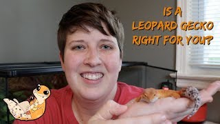 5 THINGS TO KNOW BEFORE GETTING A LEOPARD GECKO [upl. by Oilerua]