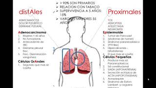 VILLAMEDIC  NM PULMONAR [upl. by Boyce]