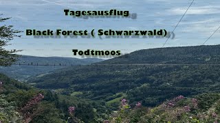 Tagesausflug Tipp Schwarzwald Todtmoos [upl. by Peppi]