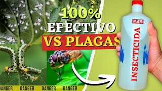 🦗3 INSECTICIDAS CASEROS Potentes para ELIMINAR PLAGAS de tus Plantas Rápidamente 🌿 [upl. by Aisyram]