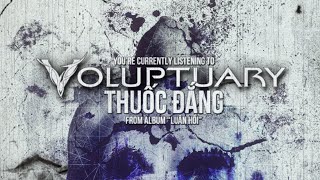 Voluptuary  Thuốc Đắng Official Lyric Video [upl. by Aseuqram]