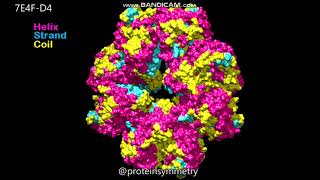 7E4F  Dihedral D4 symmetry  Molecular surfaces [upl. by Moise898]