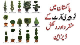 Topiary Art wire art in Pakistan  Successful business in Pakistan [upl. by Nidnal]