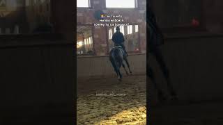 Хуже живедеров нет😮‍💨🐎 horse рекомендации лошади fyr viral рек [upl. by Aibar]