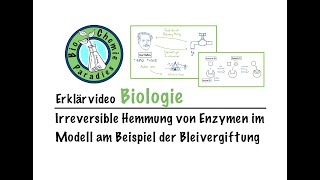 Erklärvideo Biologie – Irreversible Hemmung von Enzymen im Modell am Beispiel der Bleivergiftung [upl. by Bowie]