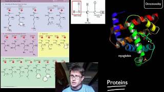 Biological Molecules [upl. by Cleve]