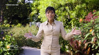 A preview of what Tamron Hall is ‘cooking up’ for season six [upl. by Kerrin]