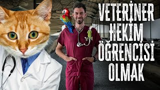 VETERİNER FAKÜLTESİNDE BİR GÜN GEÇİRMEK [upl. by Arriec]