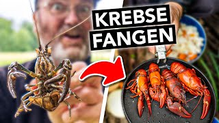 Invasive Krebse fangen töten amp köstlich zubereiten 🎣 Achtung nur diese Art [upl. by Jemie]