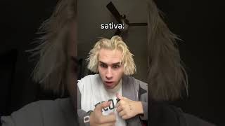 Indica vs Sativa [upl. by White]