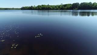 Aerial Drone Video of Chicog Lake Near Minong Wisconsin [upl. by Charry579]