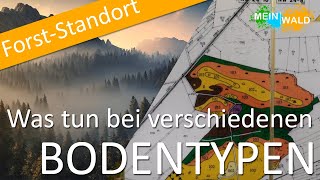 Verschiedene Bodenarten an einem Standort 🌲🌳 Wie gehe ich hier vor [upl. by Stavro]