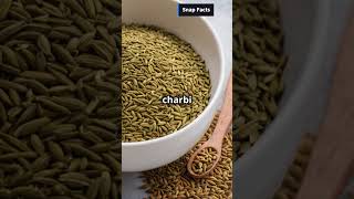 Amazing Health Benefits of Cumin Seeds  Boost Digestion amp Lose Weight with Jeera [upl. by Tratner]