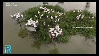 Kolleru Bird Sanctuary Drone Visuals [upl. by Clint]