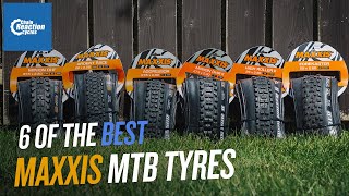 6 of the best Maxxis MTB Summer Tyres  CRC [upl. by Llerdna315]