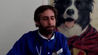 LIVE Facebook du Docteur Tardif 9  Santé et comportement chiens et chats [upl. by Cameron400]