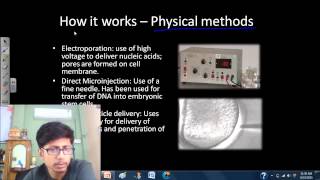 Transfection of mammalian cells [upl. by Abrahan]