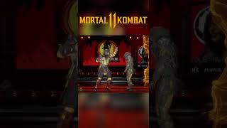 Mortal Kombat 11  All Stage Fatalities 4K 60FPS [upl. by Adirahs]