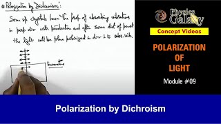 Class 12 Physics  Polarization of Light  9 Polarization by Dichroism  For JEE amp NEET [upl. by Ardnikat506]