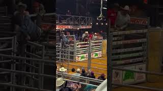 Spider Cowboy 🤠wrecks bullriding [upl. by Oaht833]