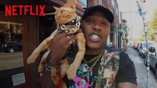 “CATTASTIC” Song Clip 😻 Cat Rap by IAmMoshow 😻 Cat People  Netflix After School [upl. by Maggy343]