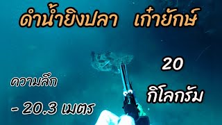 คลิปนี้เป็นคลิปสุดท้ายของเรือน้องภัช ดำน้ำยิงปลาเก๋ายักษ์ 20 กิโลกรัม [upl. by Palila]