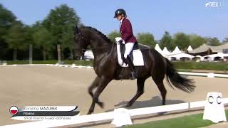 Fibrina pod Karoliną Mazurek Ermelo 2024 Small Final for 6 year old horses [upl. by Nyleak]