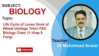 Life Cycle of Loose Smut of Wheat Ustilago Tritici  FSC Biology Class 11  Dr Muhammad Anwar [upl. by Alger151]