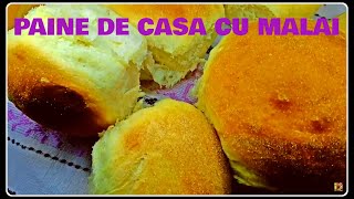 PAINE DE CASA CU MALAI [upl. by Mae953]