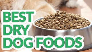 Best Dry Dog Food 2019  10 TOP Dry Dog Foods [upl. by Marras]