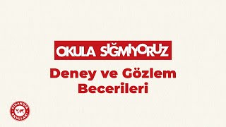 OKULA SIĞMIYORUZ Deney ve Gözlem Becerileri [upl. by Aivin]