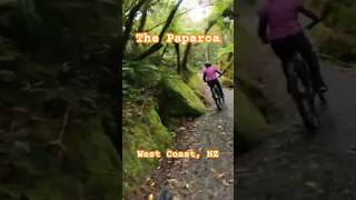 The Paparoa Trail from Punakaiki to the first hut mtb travel bike [upl. by Rina]