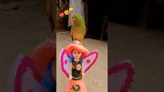 Maheroo maheroodancevideo bhojuridance bhojpurimusic bhojpoori song [upl. by Bissell174]