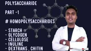 POLYSACCHARIDES PART 1  HOMOPOLYSACCHARIDE  STARCH GLYCOGEN CELLULOSE INULINDEXTRIN CHITIN [upl. by Poyssick]