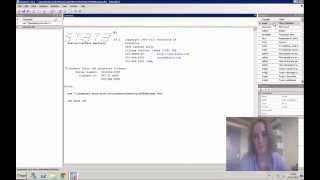 Introduksjon til Stata  Video 4 Describe og codebook [upl. by Nodgnal]