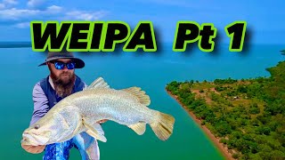 BARRA FISHING WEIPA A Cape York Adventure  Part 1 [upl. by Enialedam]