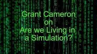 Grant Cameron  Are we Living in a Simulation [upl. by Hocker]