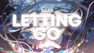 Soar  Letting Go [upl. by Rance]