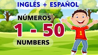 ⭐Números del 1 al 50 en Inglés y Español 🧠🙋‍♀️I Numbers 1 to 50 in English and Spanish I [upl. by Bosson347]