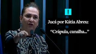 quotCrápula canalha e ladrão de vidasquot diz Kátia Abreu sobre Romero Jucá [upl. by Klusek]